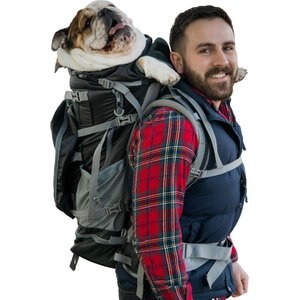 K9 Sport Sack Rover 2 Forward Facing Dog Carrier Backpack, Black, Large