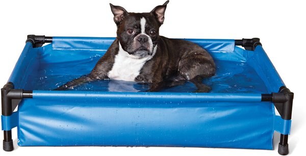 K&H Pet Products Dog Pool & Pet Bath, Blue, Medium slide 1 of 8
