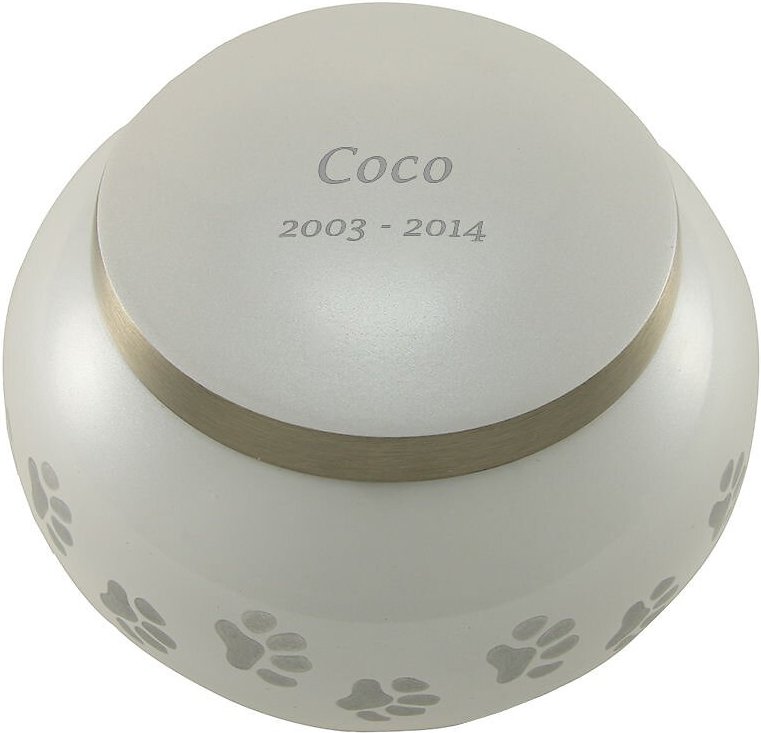 A Pet's Life Odyssey Personalized Dog & Cat Urn