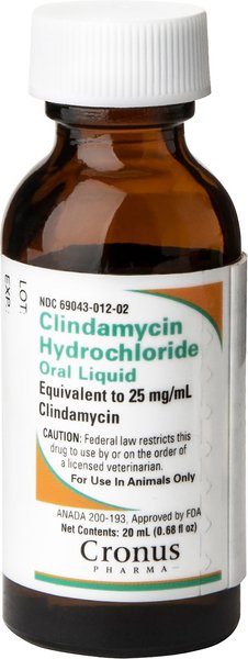 Clindamycin HCl (Generic) Oral Drops for Dogs & Cats, 25 mg/mL, 20-mL, bundle of 2 slide 1 of 6