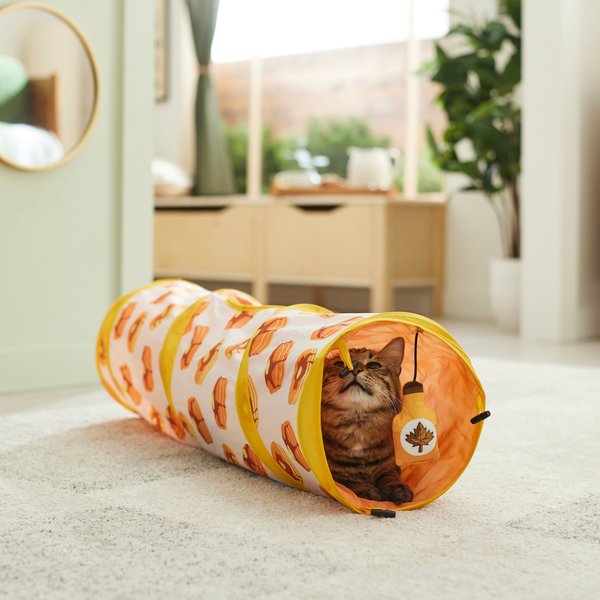 Frisco Brunch Pancake Foldable Play Tunnel Cat Toy with Catnip slide 1 of 5