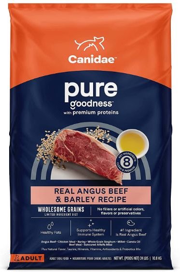 CANIDAE PURE with Wholesome Grains Real Angus Beef & Barley Recipe Adult Dry Dog Food, 4-lb bag slide 1 of 8