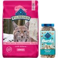 Blue Buffalo Wilderness Salmon Recipe Grain-Free Dry Cat Food, 11-lb bag + Blue Buffalo Bursts With Savory Seafood Cat Treats, 12-oz tub