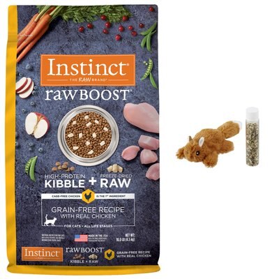 Instinct Raw Boost Grain-Free Recipe with Real Chicken & Freeze-Dried Raw Coated Pieces Dry Cat Food, 10-lb bag + Frisco Refillable Catnip Cat Toy, Brown Squirrel, slide 1 of 1
