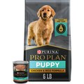 Purina Pro Plan Puppy Chicken & Rice Formula Dry Dog Food, 6-lb bag + Purina Pro Plan Focus Puppy Classic Chicken & Rice Entree Canned Dog Food, 13-oz, case of 12
