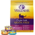 Wellness Complete Health Poultry Lovers Pate Variety Pack Grain-Free Canned Cat Food, 5.5-oz, case of 30 + Wellness Complete Health Natural Grain Free Salmon & Herring Dry Cat Food, 11.5-lb bag