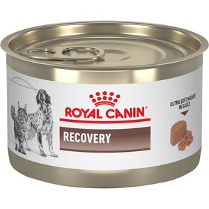 Royal Canin Veterinary Diet Recovery Ultra Soft Mousse in Sauce Wet Dog & Cat Food, 5.1-oz, case of 24