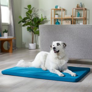 Frisco Durable Crate Mat, Teal, 54-in
