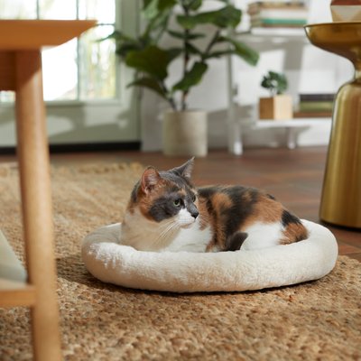 Frisco Self Warming Bolster Round Cat Bed, slide 1 of 1