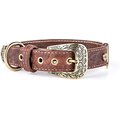 myfamily El Paso Genuine Embossed Italian Leather Dog Collar, Brown, 14-in