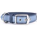 myfamily Firenze Genuine Italian Leather Dog Collar, Light Blue & Blue, 14-in