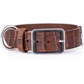 myfamily Tucson Genuine Textured Italian Leather Dog Collar, Brown, 14-in