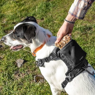 KURGO Stash n’ Dash Dog Harness, Black, Medium - Chewy.com