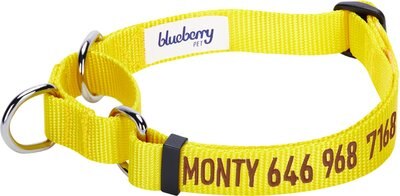 Blueberry Pet Safety Training Personalized Martingale Dog Collar, slide 1 of 1