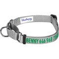 Blueberry Pet Safety Training Personalized Martingale Dog Collar, Flint Gray, Small: 12 to 16-in neck, 5/8-in wide