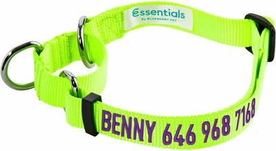 Blueberry Pet Essentials Safety Training Personalized Martingale Dog Collar, slide 1 of 1