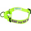 Blueberry Pet Essentials Safety Training Personalized Martingale Dog Collar, Neon Yellow, Large: 18 to 26-in neck, 1-in wide