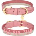 Blueberry Pet Polyester & Soft Genuine Leather Personalized Dog Collar, Pink & Grey, Large: 18 to 22-in neck, 1-in wide