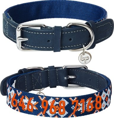 Blueberry Pet Modern Tribal Print Polyester & Soft Genuine Leather Personalized Dog Collar, slide 1 of 1