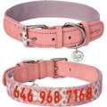 Blueberry Pet Modern Tribal Print Polyester & Soft Genuine Leather Personalized Dog Collar, Thistle, Large: 18 to 22-in neck, 1-in wide