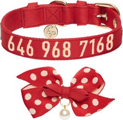 Blueberry Pet The Most Coveted Detachable Bowtie & Pearl Personalized Dog Collar, slide 1 of 1