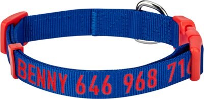 Blueberry Pet National Pride USA Flag Personalized Dog Collar, slide 1 of 1