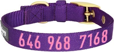 Blueberry Pet The Most Coveted Designer Mixed Metallic Thread Personalized Dog Collar, slide 1 of 1