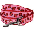Blueberry Pet Webbing Ladybug Designer Personalized Standard Dog Leash, Medium: 5-ft long, 3/4-in wide