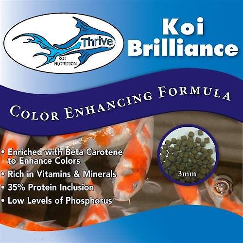 Thrive Koi Brilliance Color Enhancing Formula Koi Fish Food, 1-gal jar slide 1 of 1