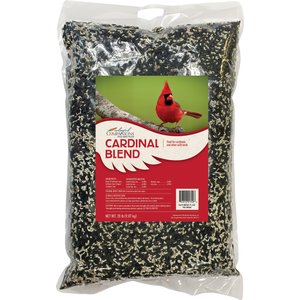 Colorful Companions Cardinal Blend Bird Food, 20-lb bag