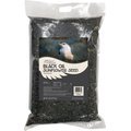 Colorful Companions Black Oil Sunflower Premium Wild Bird Food, 20-lb bag