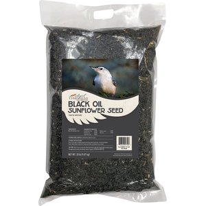 Colorful Companions Black Oil Sunflower Bird Food, 20-lb bag
