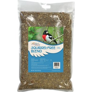 Colorful Companions Squirrel-Free Blend Premium Wild Bird Food, 20-lb bag