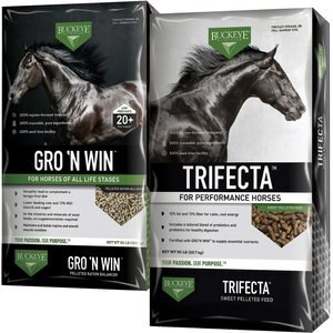 Buckeye Nutrition Gro 'N Win Pelleted Feed + Trifecta Performance Sweet Horse Feed