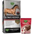 Buckeye Nutrition Ultimate Recovery Extruded Performance Pellets Supplement + All-Natural Apple Horse Treats
