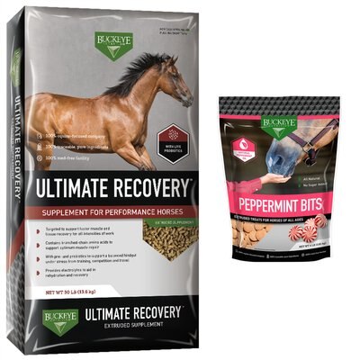 Buckeye Nutrition Ultimate Recovery Extruded Performance Pellets Supplement + All-Natural Peppermint Horse Treats, slide 1 of 1