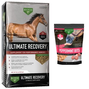 Buckeye Nutrition Ultimate Recovery Extruded Performance Pellets Supplement + All-Natural Peppermint Horse Treats