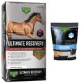 Buckeye Nutrition Ultimate Recovery Extruded Performance Pellets Supplement + Reasons Joint Support Horse Treats