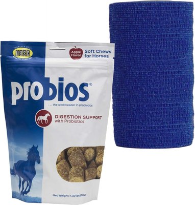 Probios Equine Probiotic Apple Flavor Soft Chew Supplement + Andover Healthcare CoFlex Vet Horse Bandage, Blue, slide 1 of 1