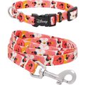 Disney Minnie Floral Collar, XS - Neck: 8 - 12-in, Width: 5/8-in + Dog Leash, SM - Length: 6-ft, Width: 5/8-in