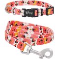 Disney Minnie Mouse Floral Collar, SM - Neck: 10 - 14-in, Width: 5/8-in + Dog Leash, SM - Length: 6-ft, Width: 5/8-in