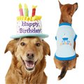 Frisco Birthday Cake Hat, Medium/Large + Dog & Cat T-Shirt, Blue, Large