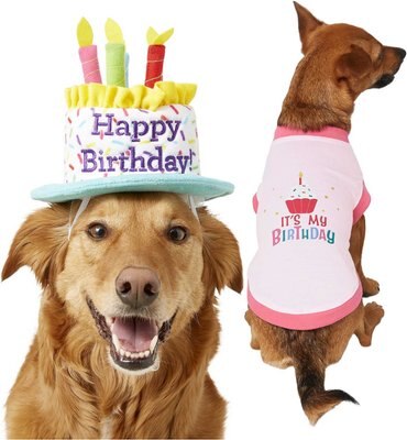 Frisco Birthday Cake Hat, Medium/Large + Dog & Cat T-Shirt, Pink, slide 1 of 1