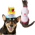 Frisco Birthday Cake Hat, X-Small/Small + Dog & Cat T-Shirt, Pink, Small