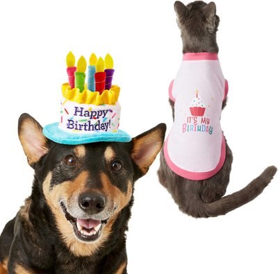 Frisco Birthday Cake Hat, X-Small/Small + Dog & Cat T-Shirt, Pink, slide 1 of 1