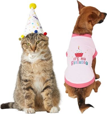 Frisco Confetti Birthday Hat, Small/Medium + Dog & Cat T-Shirt, Pink, slide 1 of 1