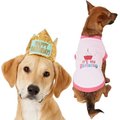 Frisco Happy Birthday Crown, X-Small/Small + Dog & Cat T-Shirt, Pink, Small