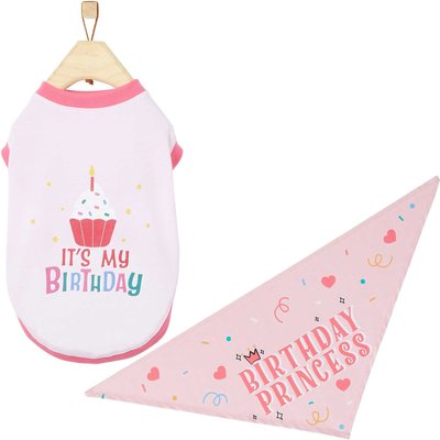 Frisco Birthday Princess Bandana, X-Small/Small + Dog & Cat T-Shirt, Pink, slide 1 of 1