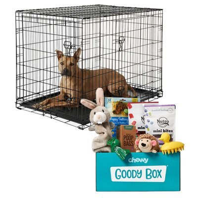 Frisco Fold & Carry Double Door Collapsible Wire Crate + Goody Box Puppy Toys, Treats & Potty Training, slide 1 of 1
