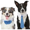 Frisco Plaid Dog & Cat Bow Tie, Medium/Large, Blue + Blue Plaid